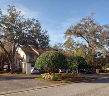 Cypress Trace North Condos